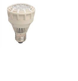 25W LED PAR20