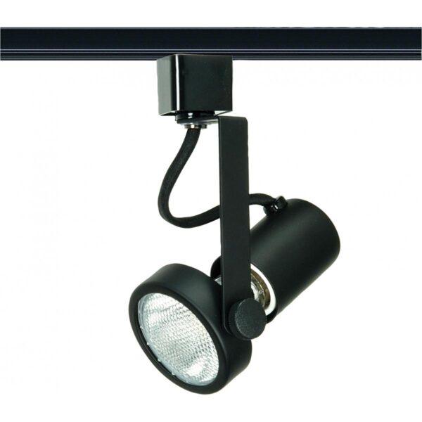 black-gimbal-track-light